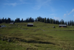 CIMG3217