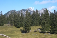 CIMG3223