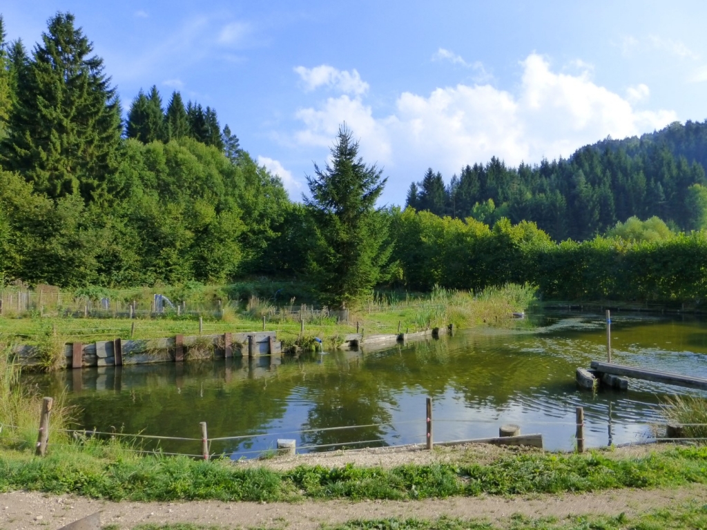 P1000175